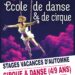 Affiche stages automne